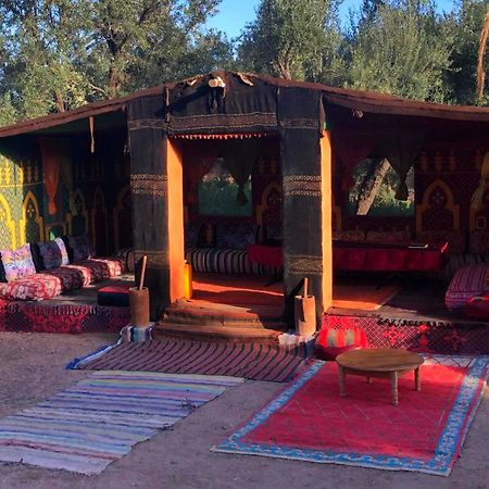 Eco-Ferme Tamalait Skoura Hotel Ngoại thất bức ảnh